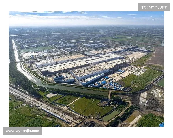 临港新片区推动内外资一视同仁，国企纷纷采购特斯拉展现市场活力